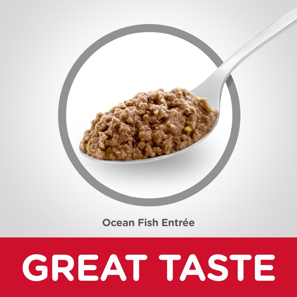 Adult Cat Food