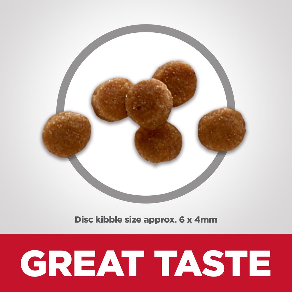 Kitten Cat Food