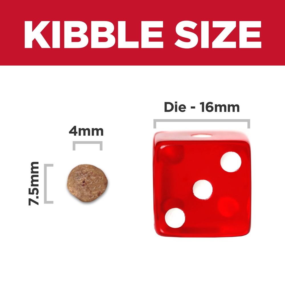 Adult 11+ Small & Mini Dog Food
