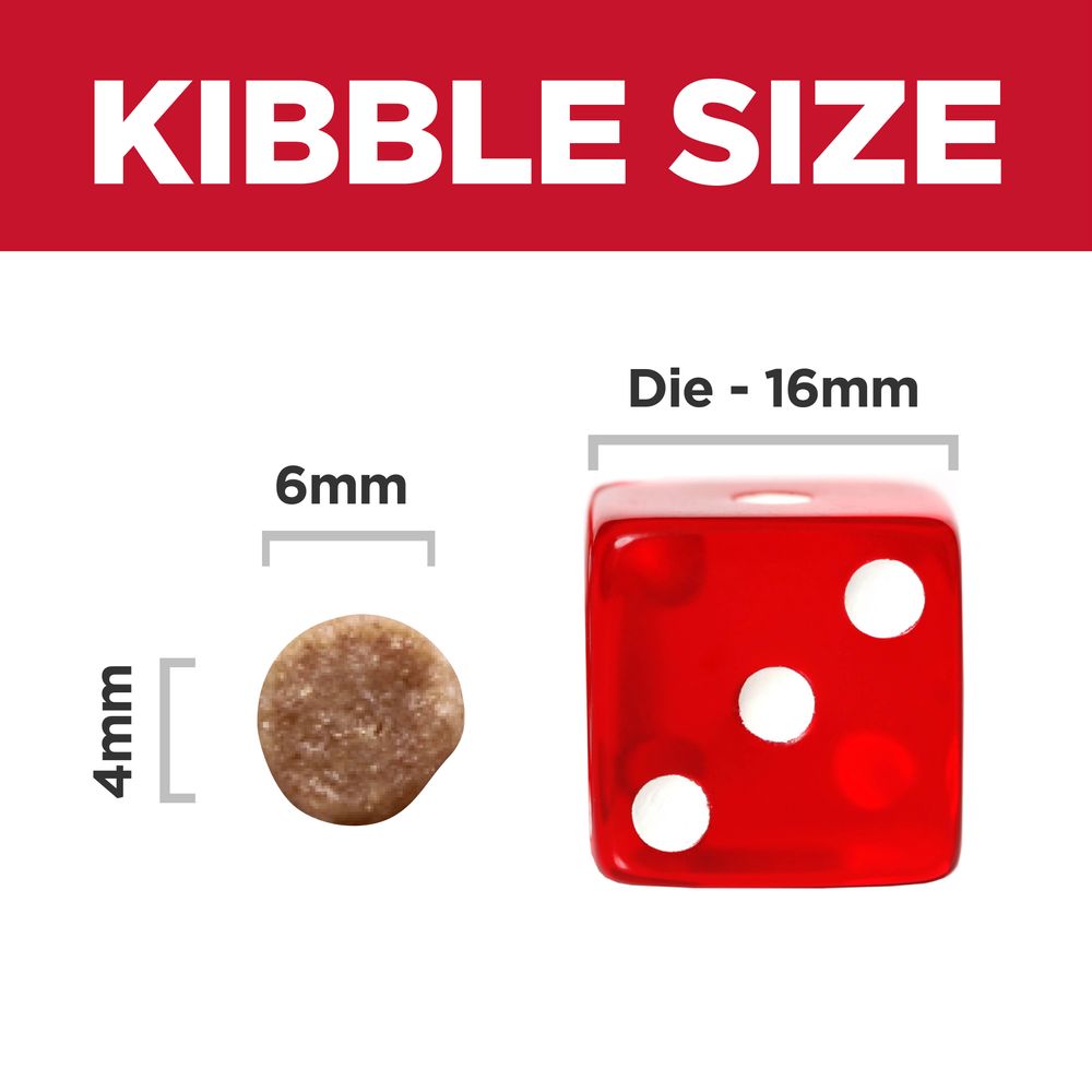 Kitten Cat Food