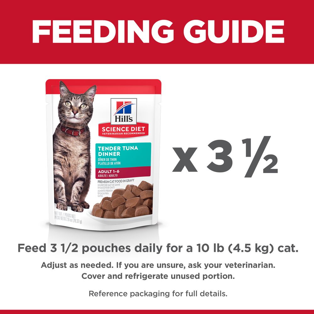 Adult Cat Food