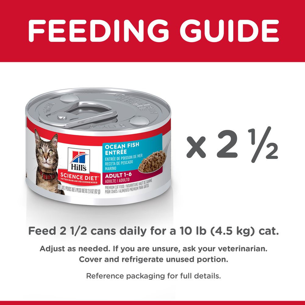 Adult Cat Food