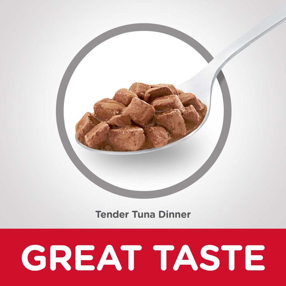 Adult Cat Food