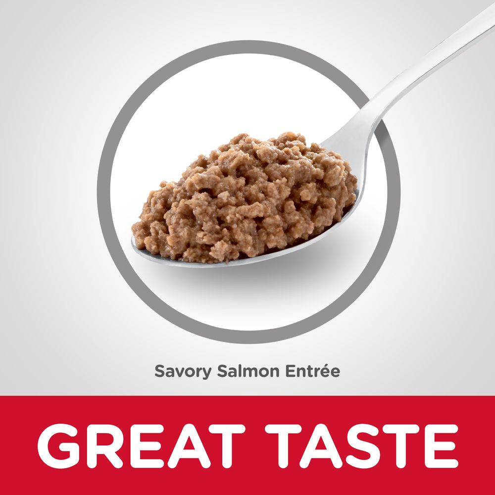 Adult Cat Food