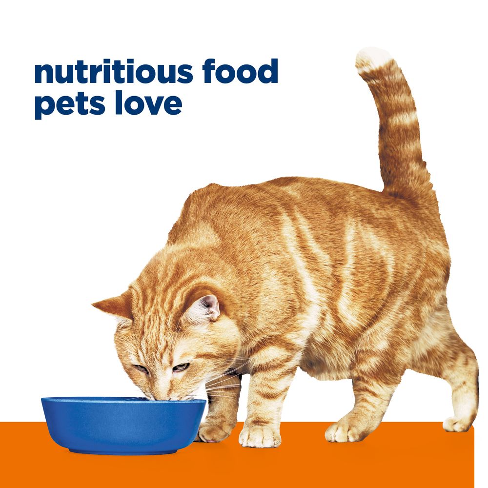 c/d Multicare Urinary Care Cat Food