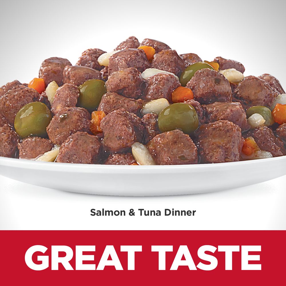 Adult Sensitive Stomach & Skin Cat Food