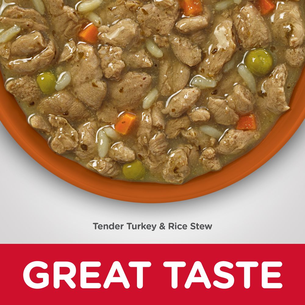 Adult Sensitive Stomach & Skin Dog Food
