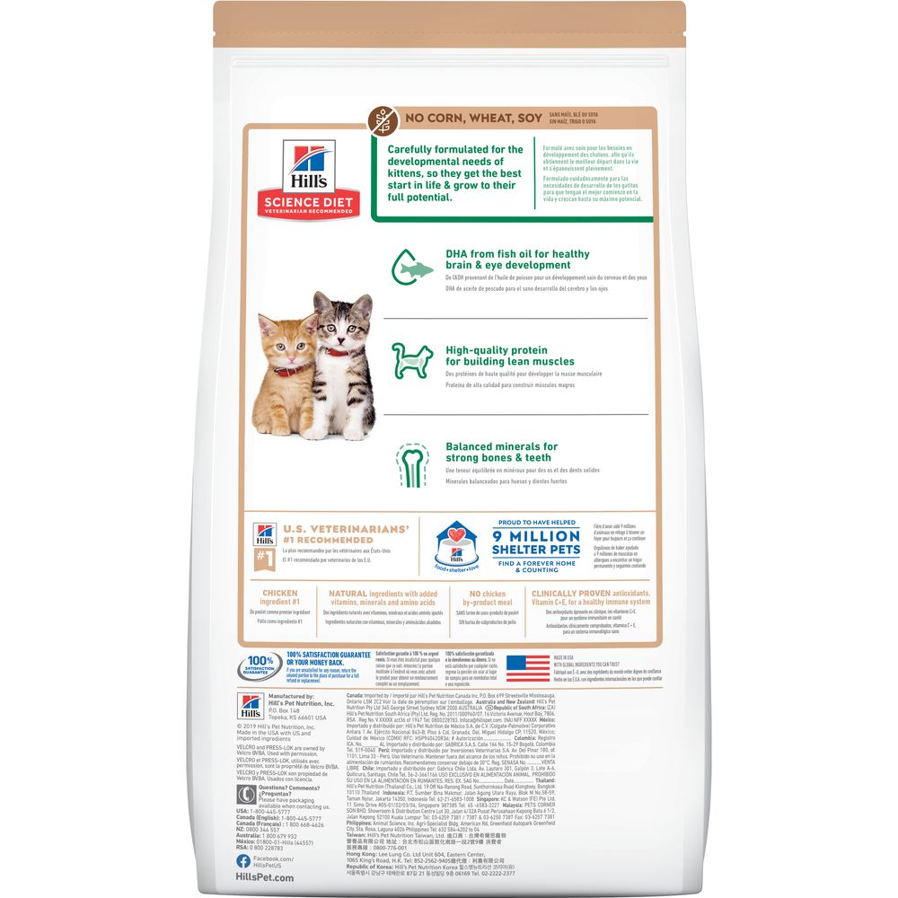 Kitten Cat Food