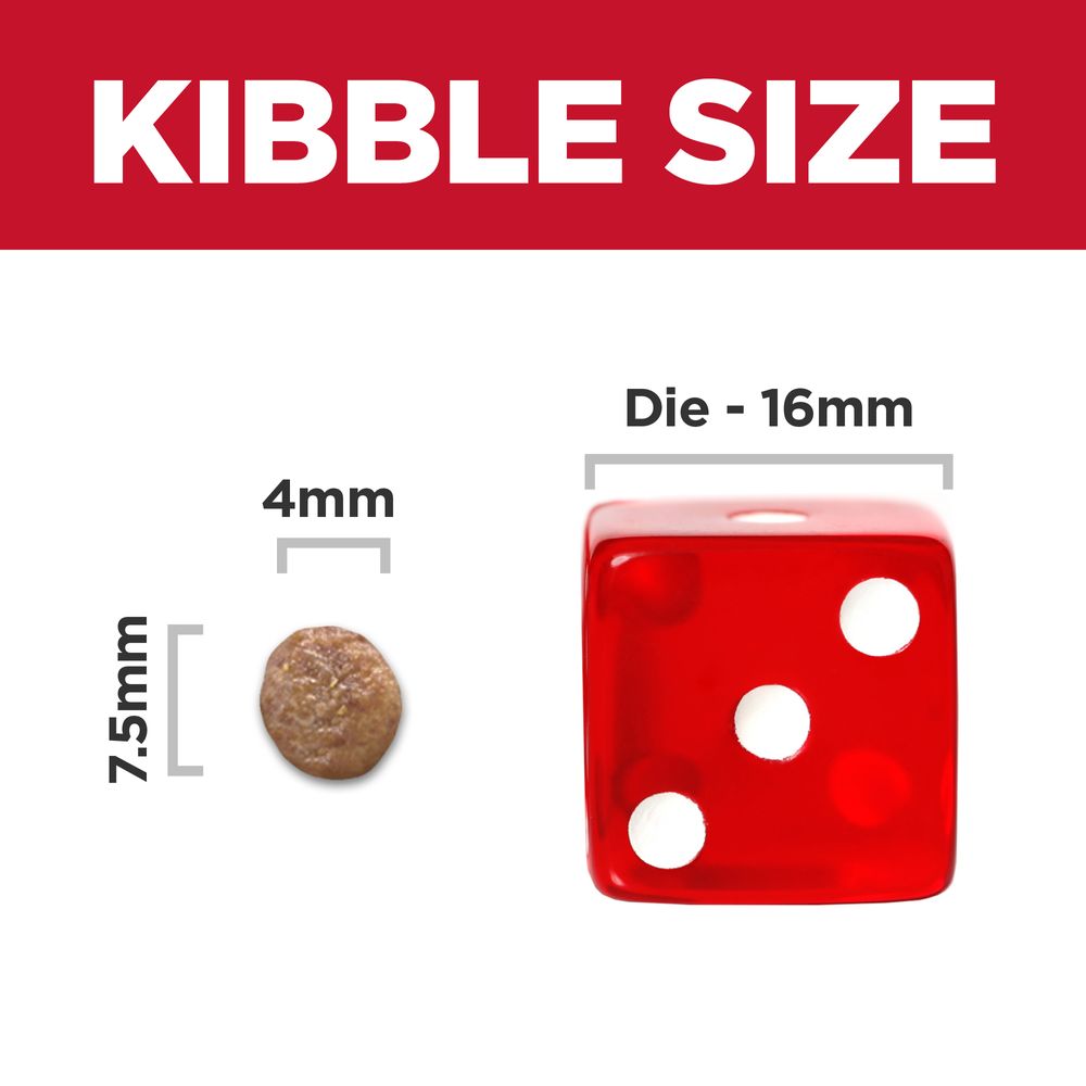 Adult 7+ Small & Mini Dog Food