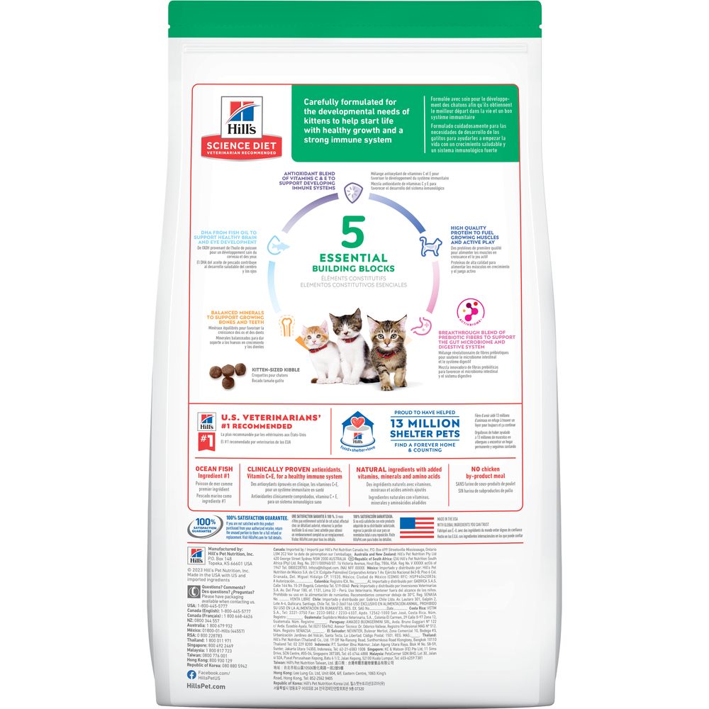 Kitten Cat Food