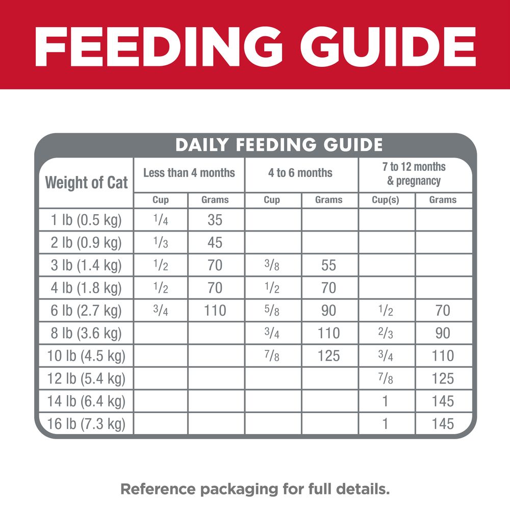 Kitten Cat Food