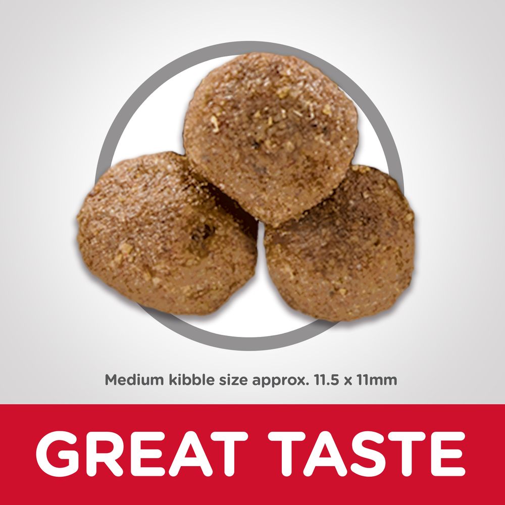 Adult Dog Food Image 4