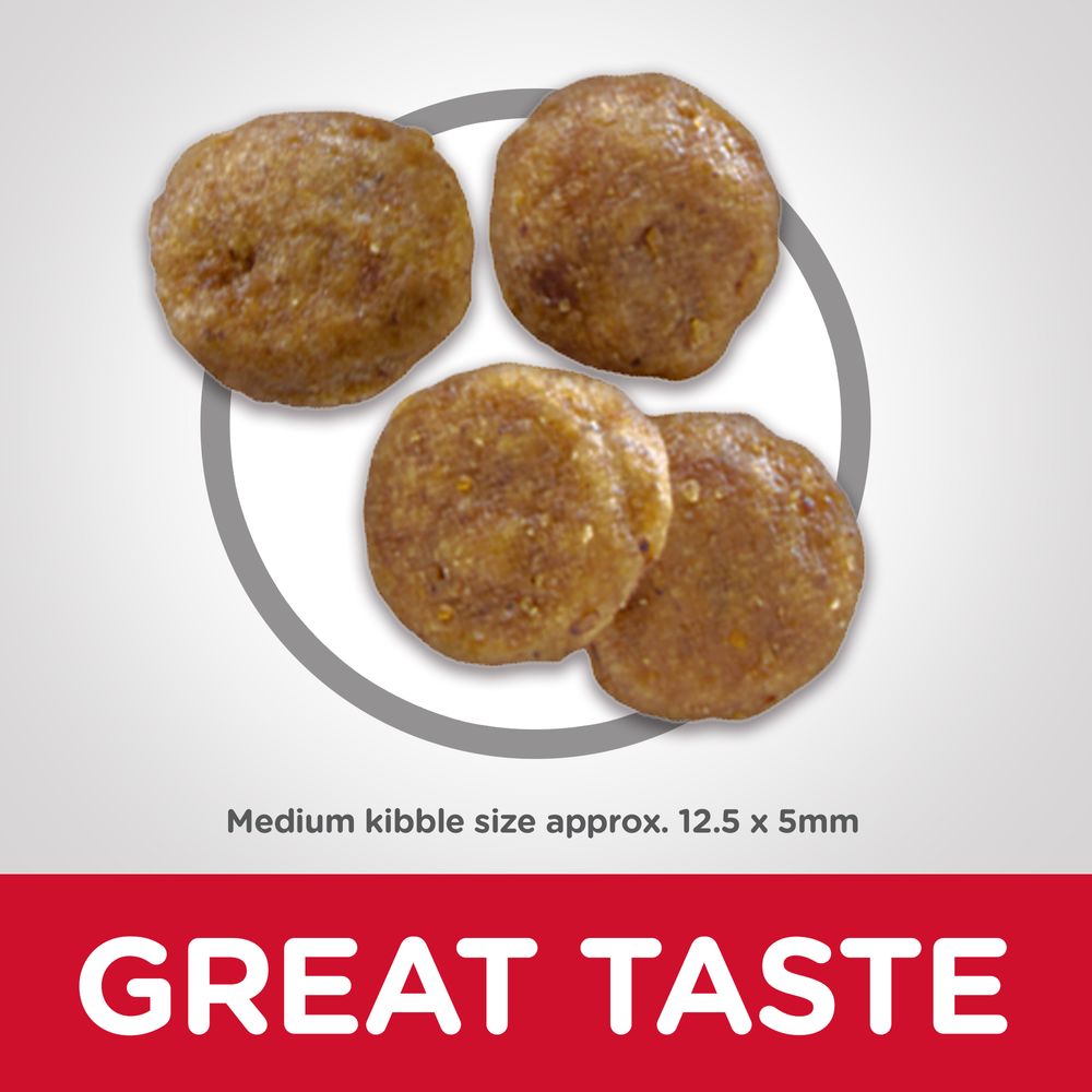 Adult Sensitive Stomach & Skin Dog Food