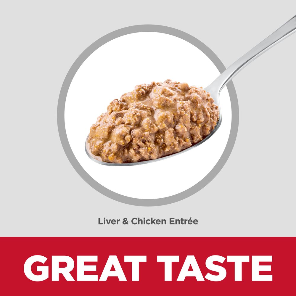 Kitten Cat Food