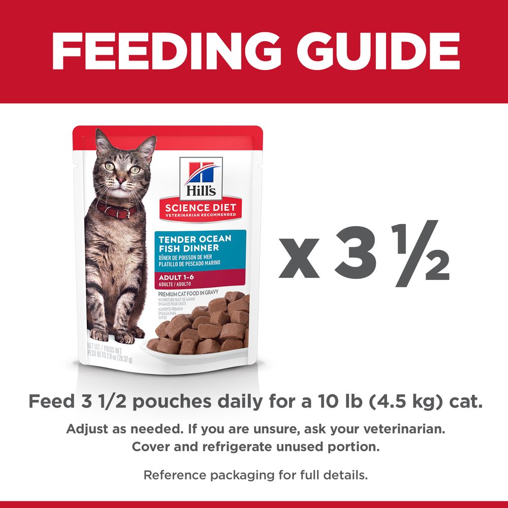Adult Cat Food