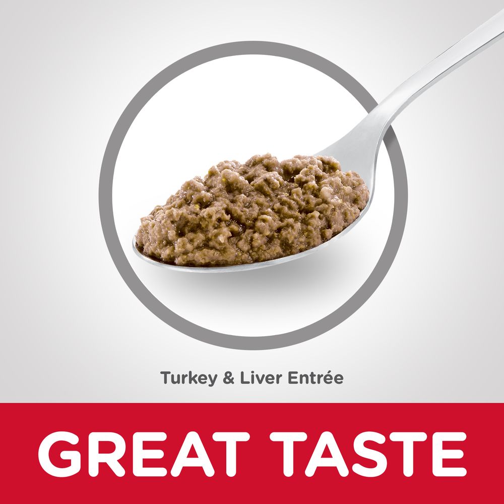 Adult Cat Food