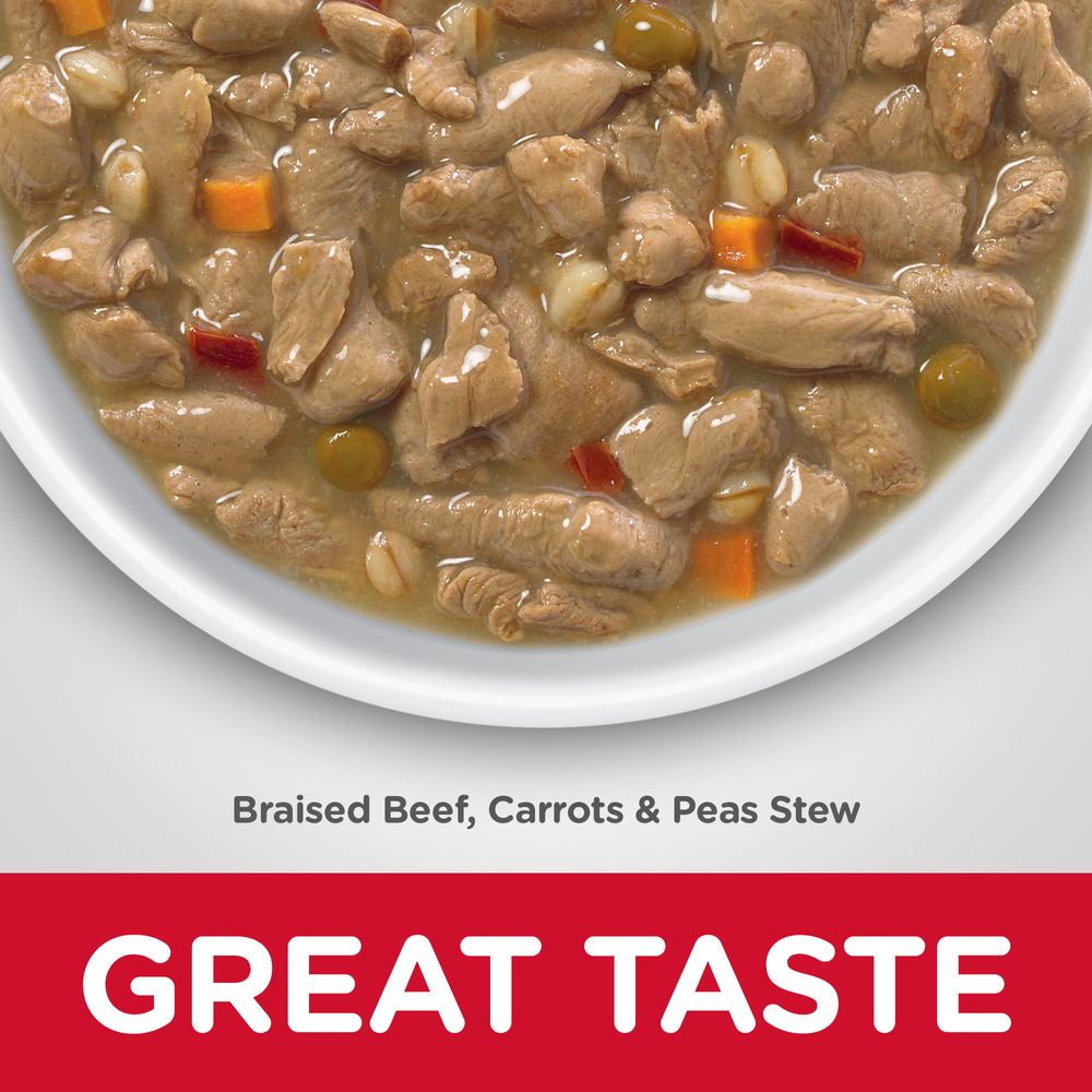 Adult Healthy Cuisine Dog Food