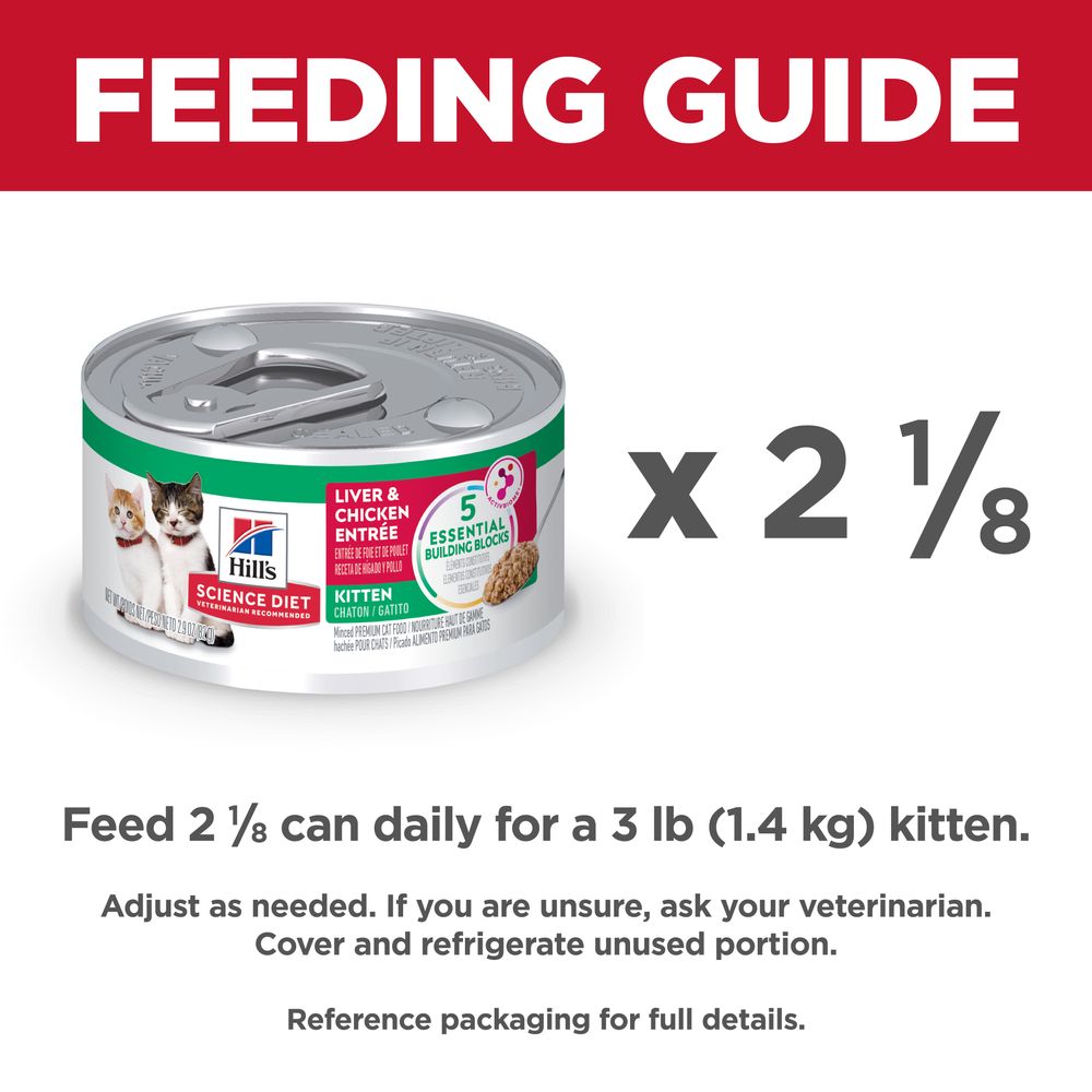 Kitten Cat Food