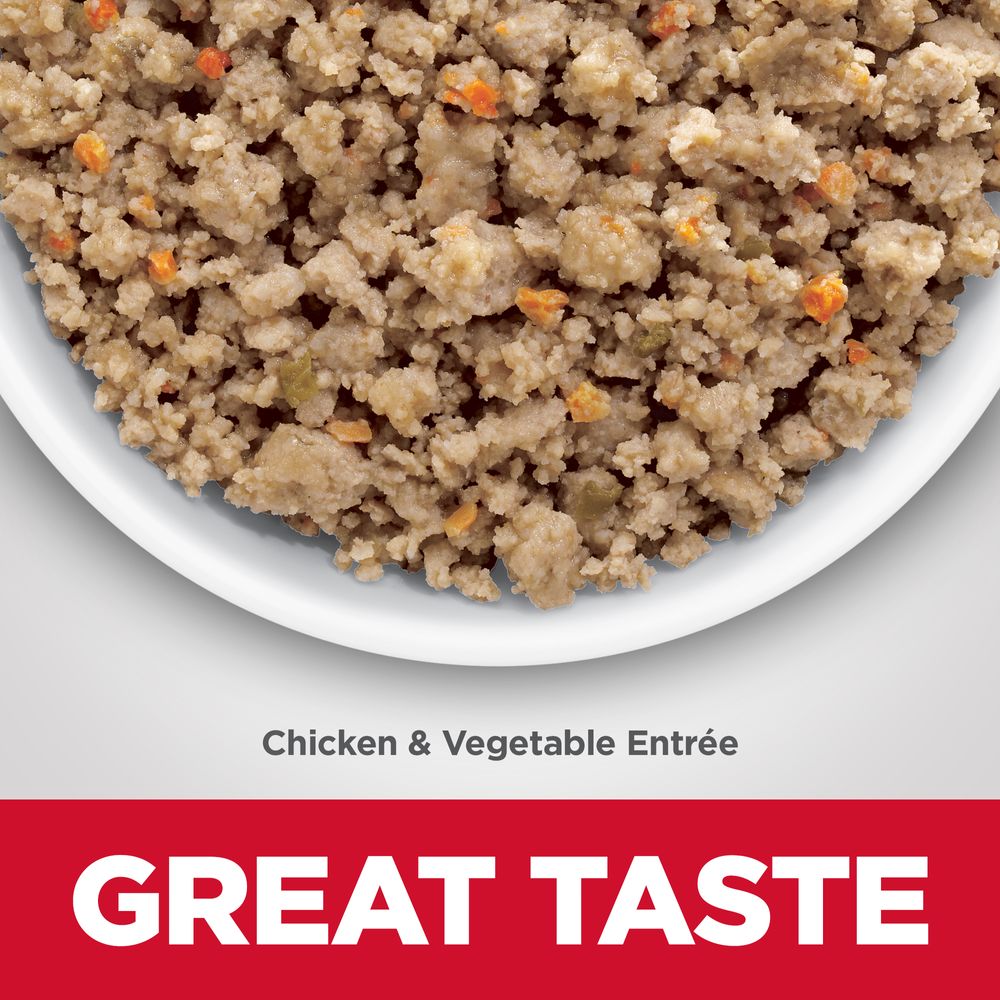 Adult Sensitive Stomach & Skin Dog Food