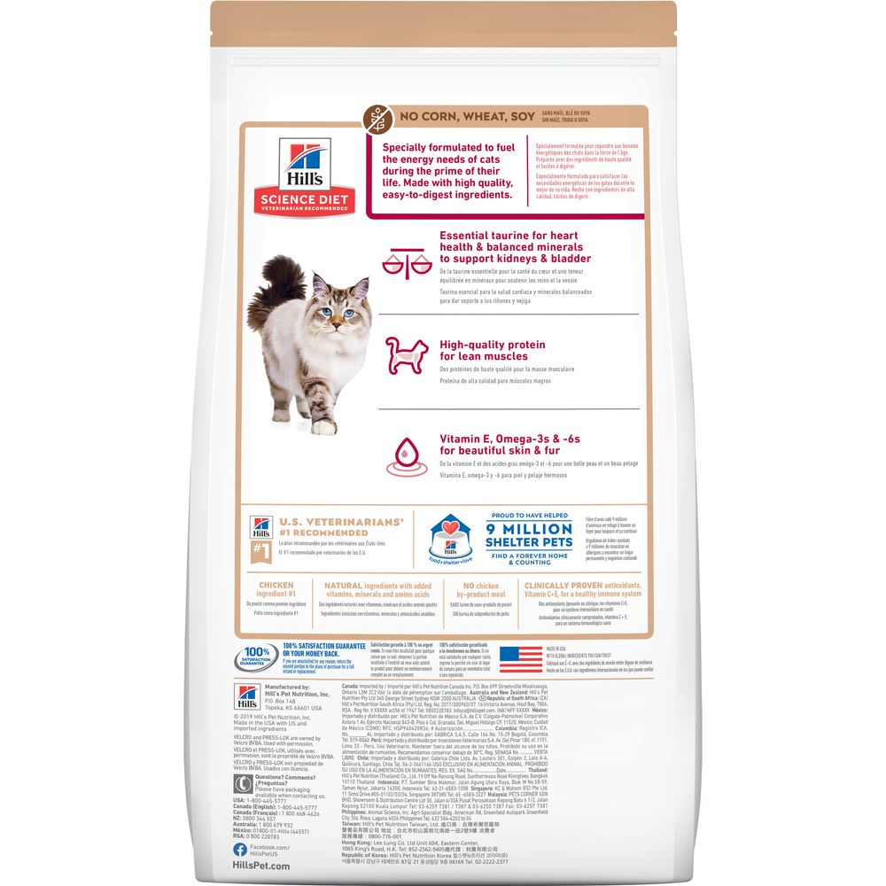 Adult Cat Food