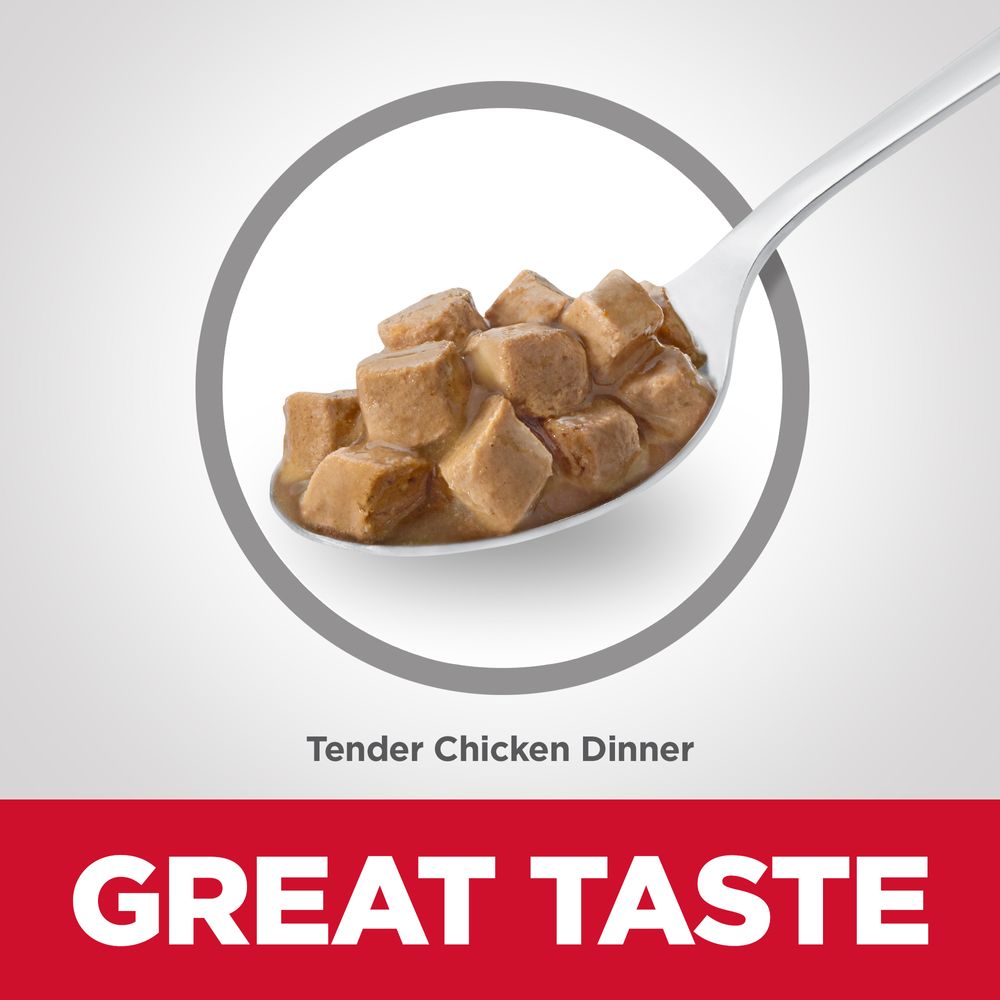 Kitten Cat Food