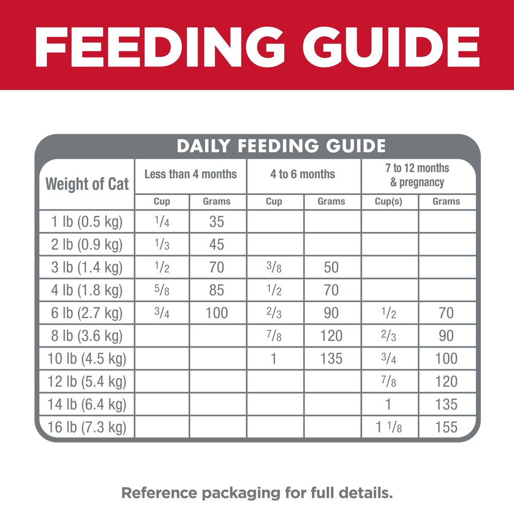 Kitten Cat Food