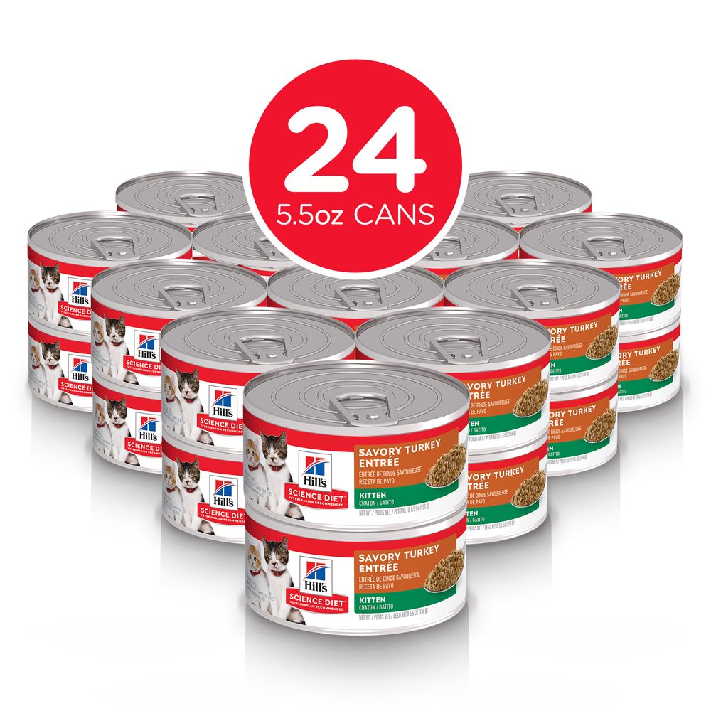 Kitten Cat Food