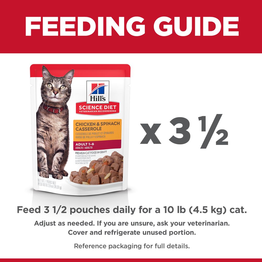 Adult Cat Food